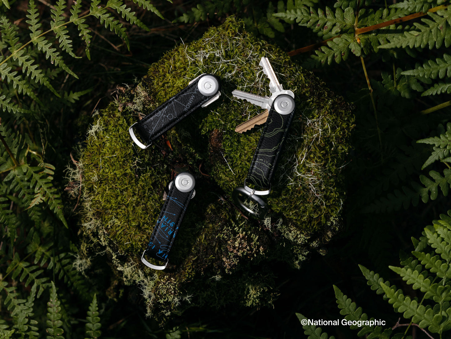 Orbitkey Australia