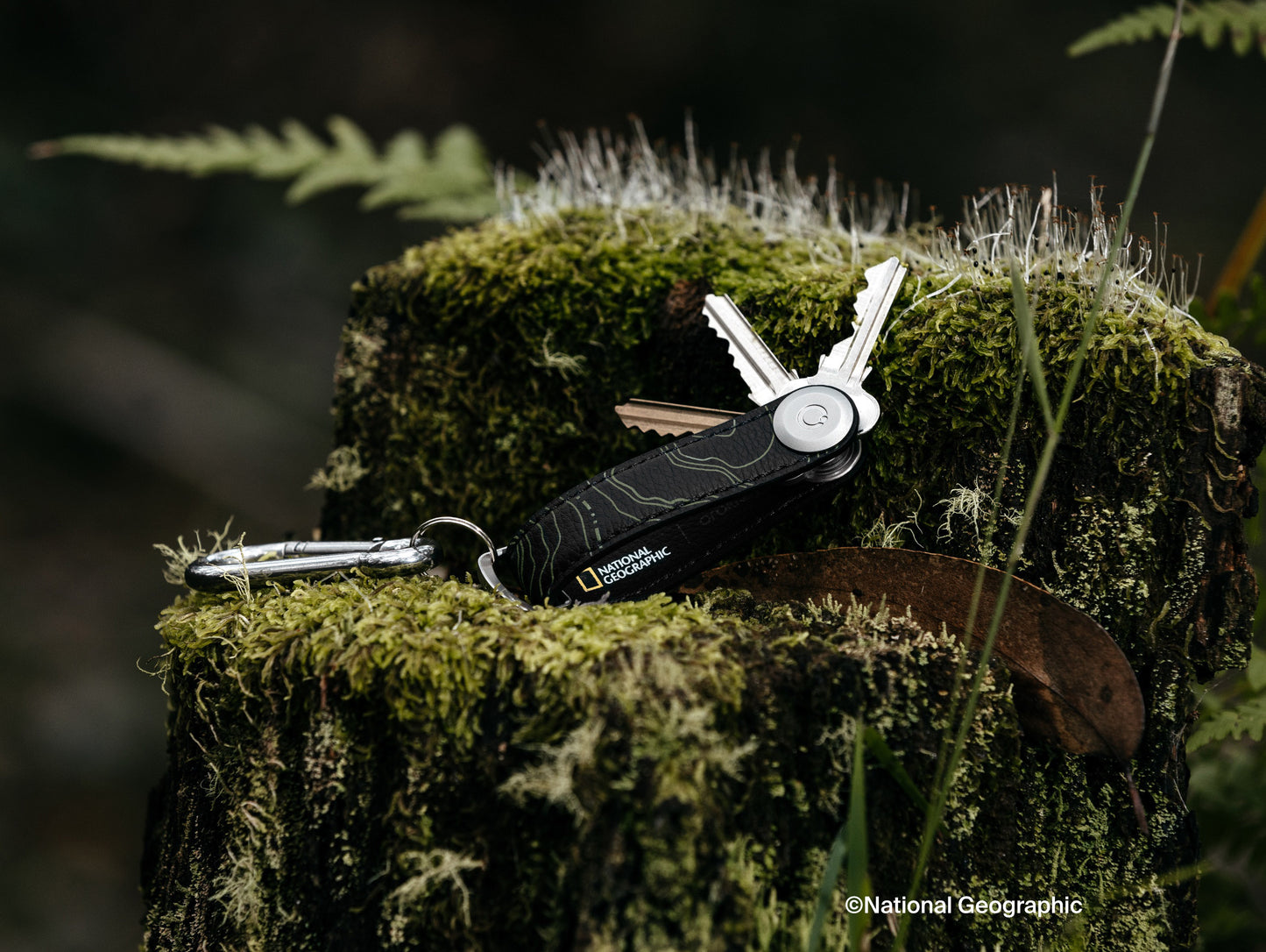 Orbitkey Australia