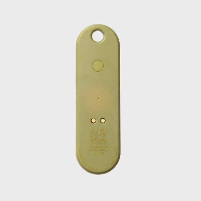 pistachio