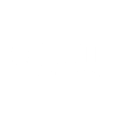 RMIT University